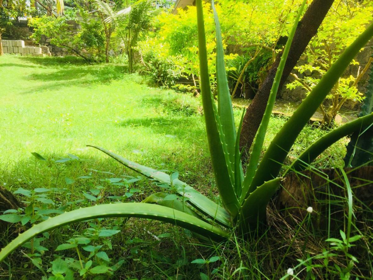 Ganesh House Ayurveda Homestay Kovalam Exteriör bild