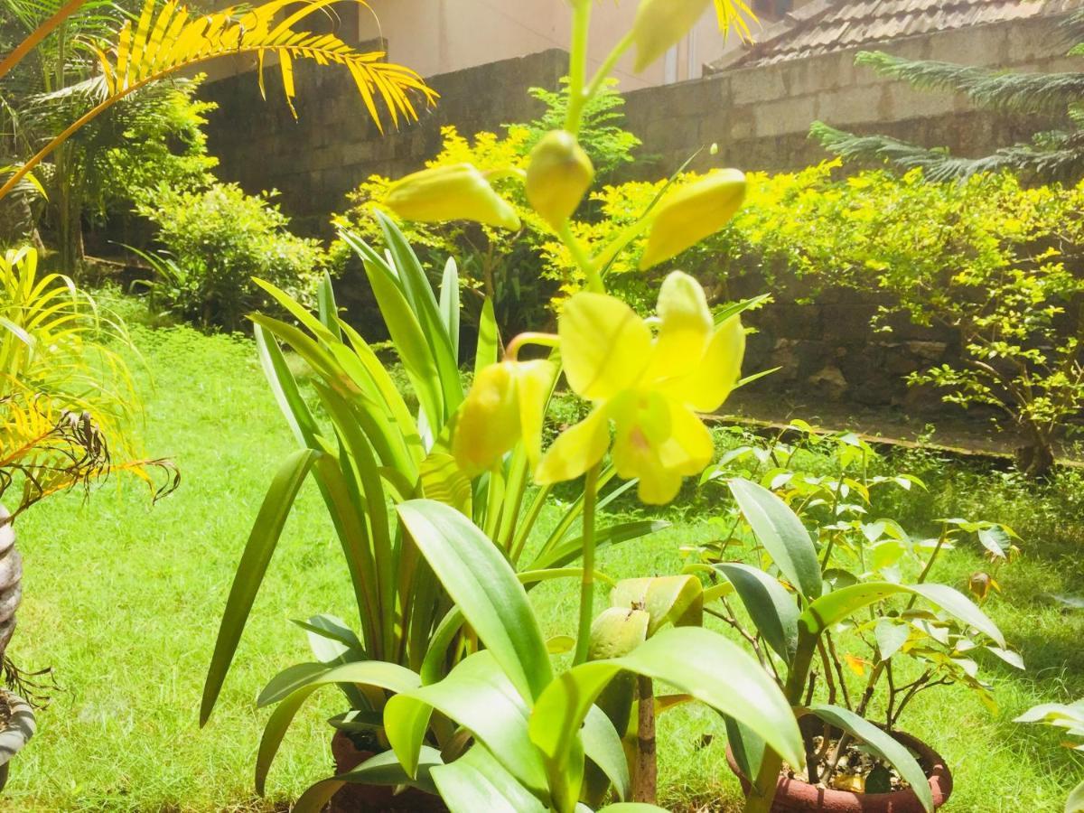 Ganesh House Ayurveda Homestay Kovalam Exteriör bild
